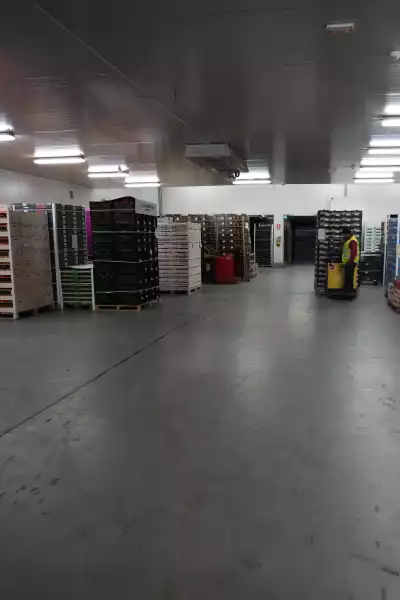 kikito logistica instalaciones