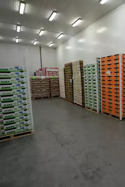 kikito logistica instalaciones